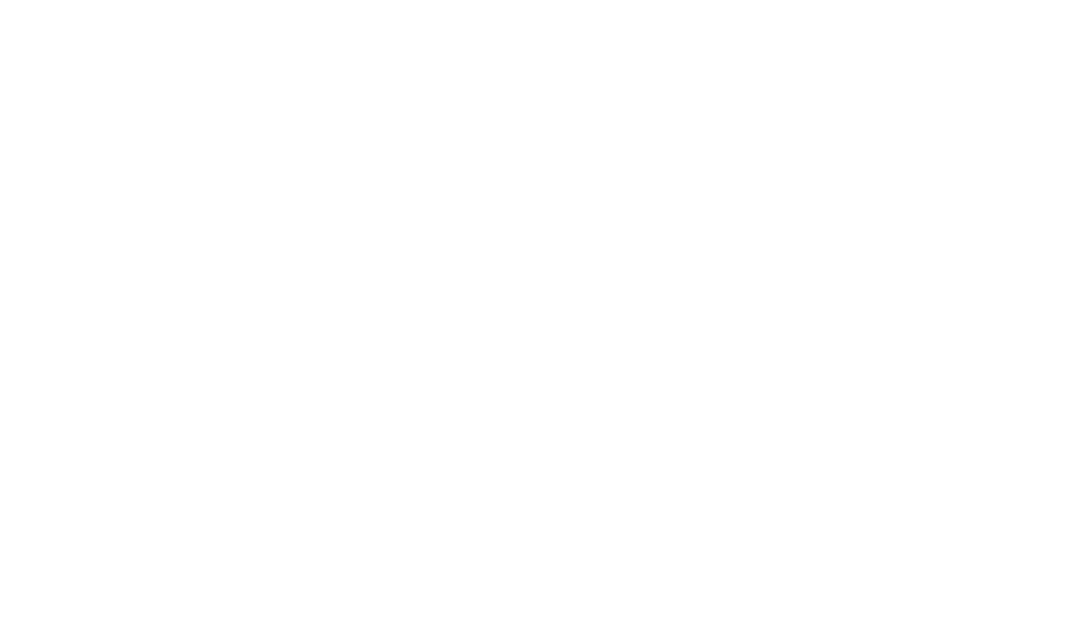 Henry Ford Logo
